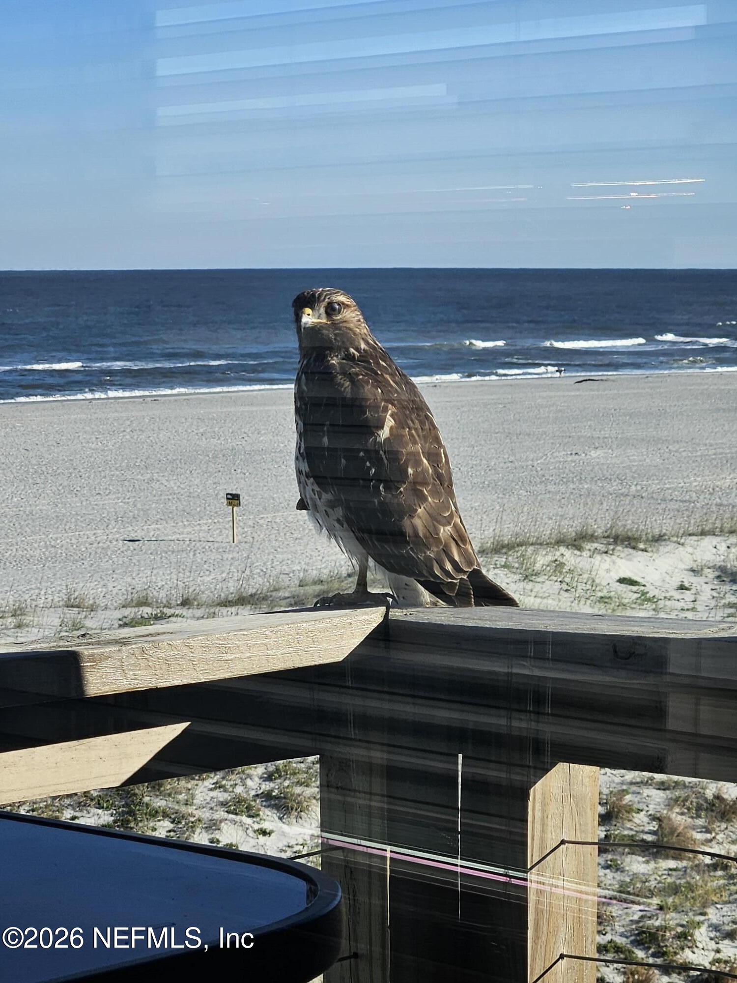 2 10th Street, Unit 6 St. Augustine Beach, FL 32080 - Photo 40 of 40