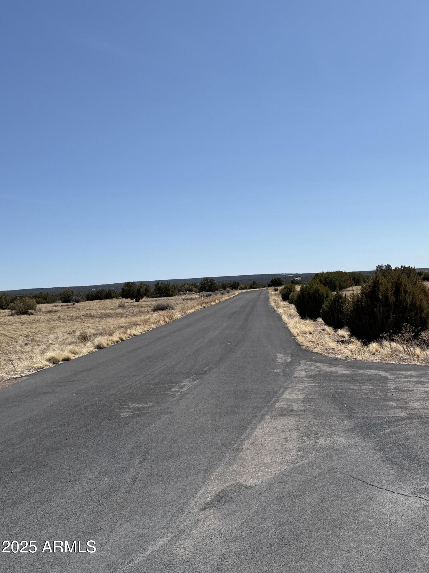 Tbd Del Rio Drive Show Low, AZ 85901 - Photo 15 of 19 IMG_4848