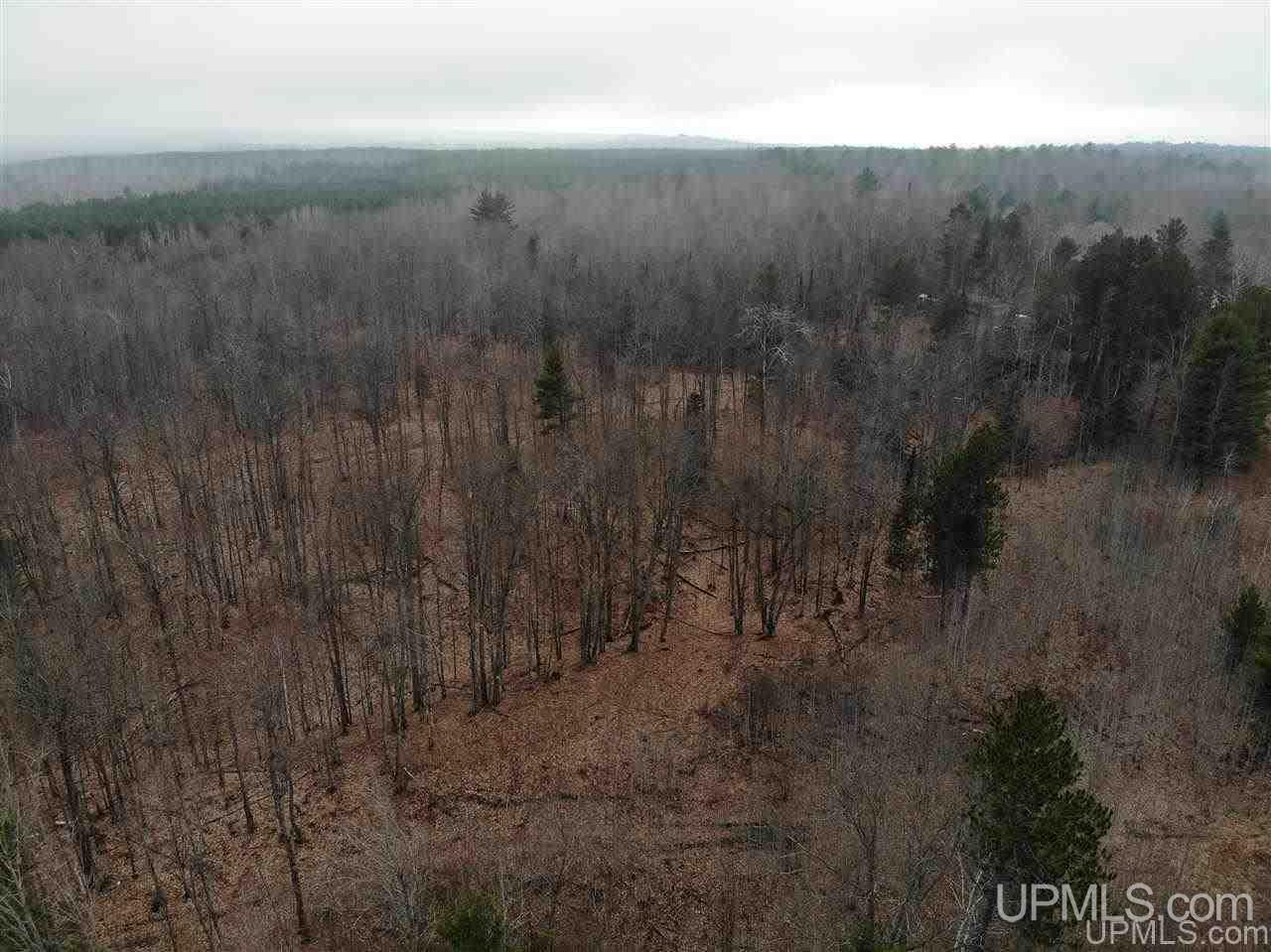 Tbd Plains Cutoff Road Baraga, MI 49908 - Photo 38 of 49