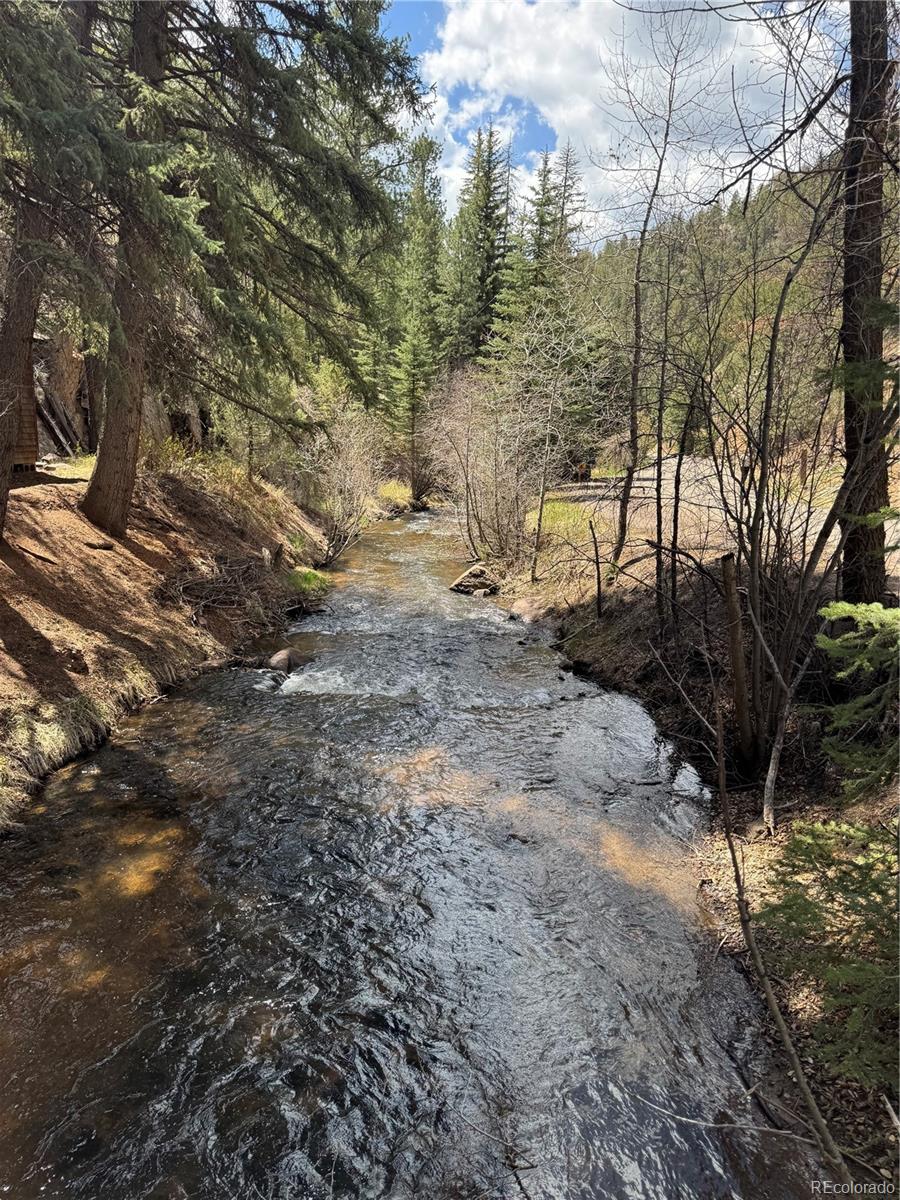 15751 South Elk Creek Road Pine, CO 80470 - Photo 21 of 34 a view of a yard with large trees