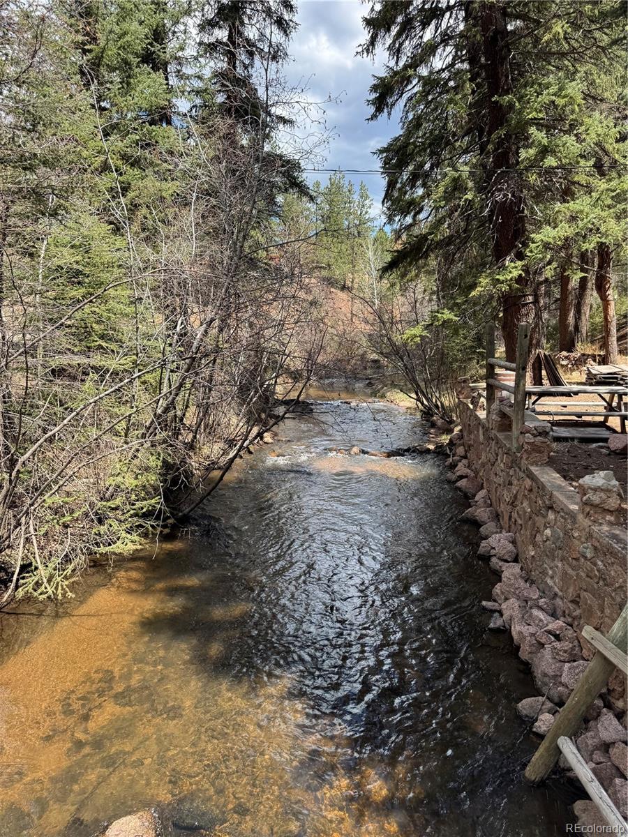 15751 South Elk Creek Road Pine, CO 80470 - Photo 22 of 34 a view of a yard with a tree
