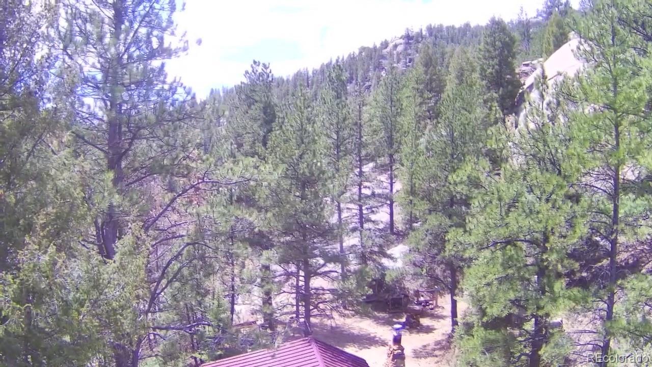 15751 South Elk Creek Road Pine, CO 80470 - Photo 24 of 34 a backyard of a house with lots of green space