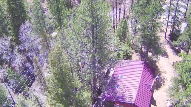 a view of a backyard with trees