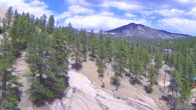 a view of a lake in middle of forest