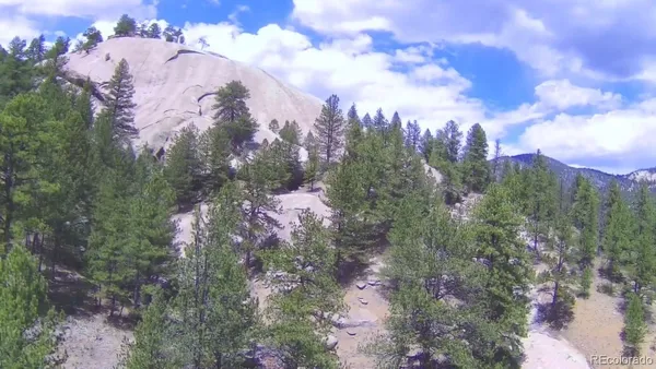 a view of a forest with trees
