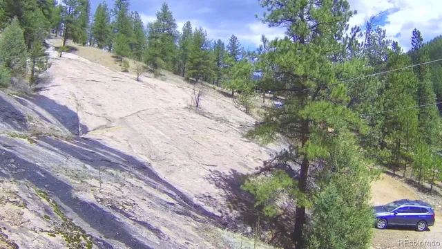 a view of a yard with large trees