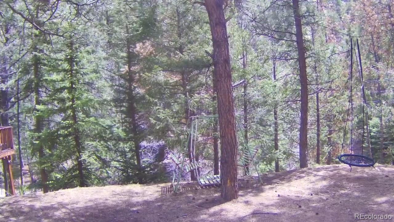15751 South Elk Creek Road Pine, CO 80470 - Photo 31 of 34 a view of a forest with trees