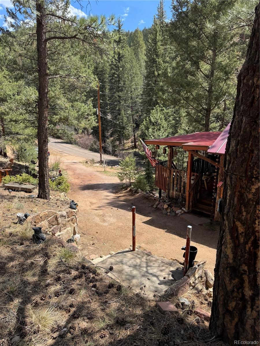 15751 South Elk Creek Road Pine, CO 80470 - Photo 9 of 34 a view of a yard with plants and trees