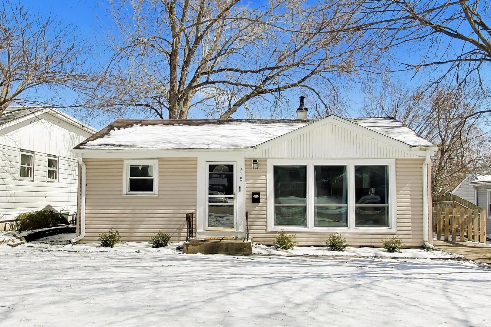 315 South Morgan Avenue Wheaton, IL 60187 - Photo 1 of 23