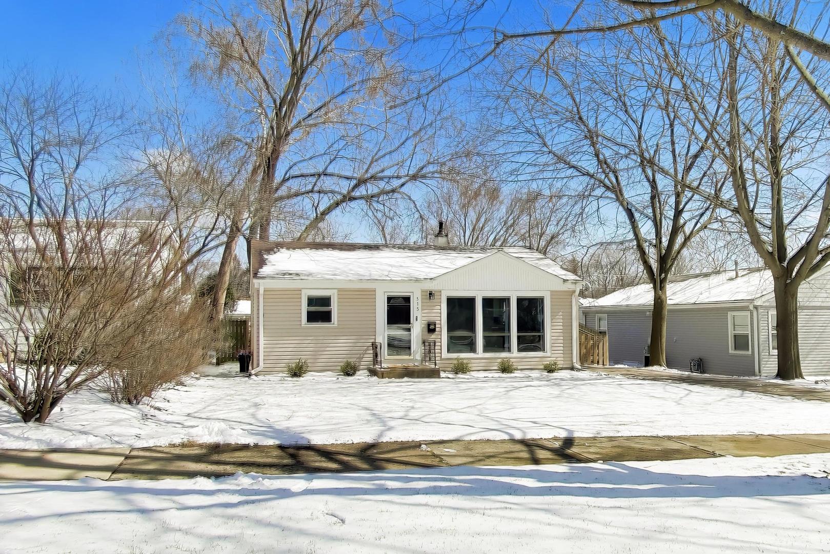 315 South Morgan Avenue Wheaton, IL 60187 - Photo 3 of 23