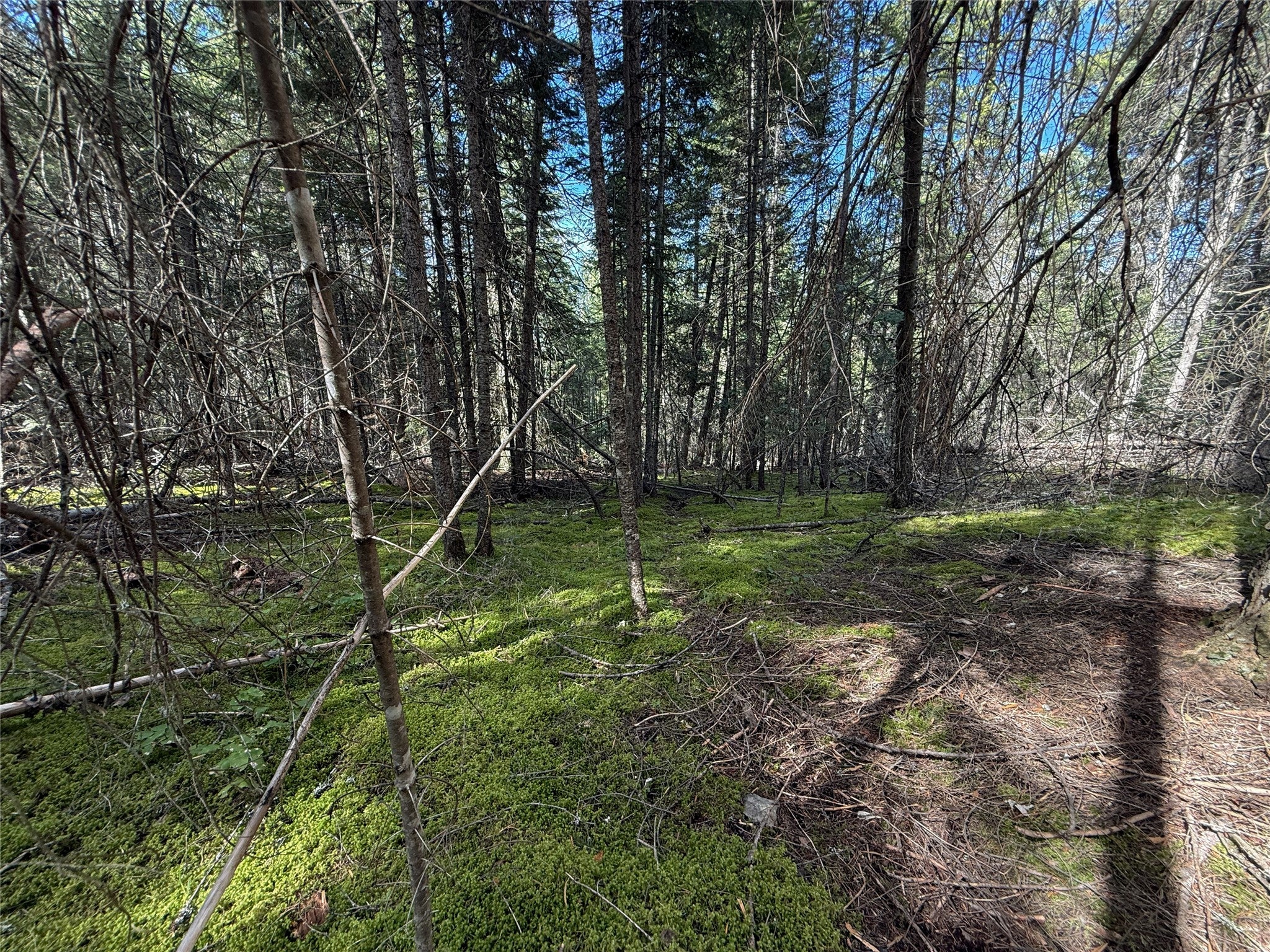 N/a Wapiti Point Road Thompson Falls, MT 59873 - Photo 7 of 17 Gallery Image 7