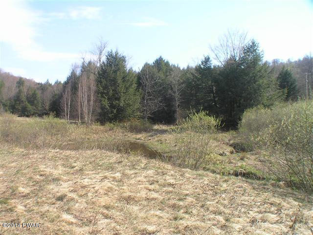 Maple Road Susquehanna, PA 18847 - Photo 3 of 9