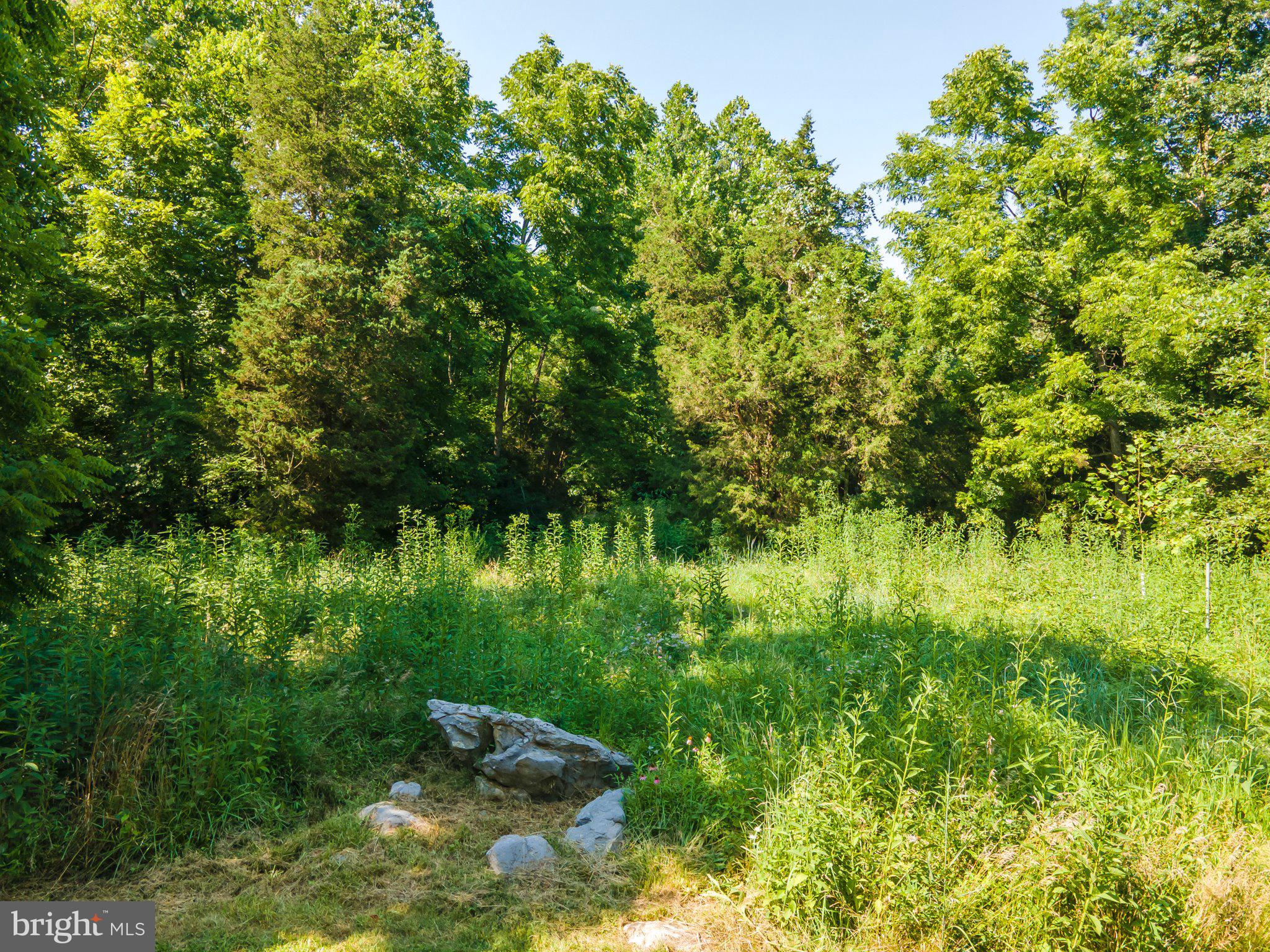 977 Turner Road Shepherdstown, WV 25443 - Photo 103 of 106