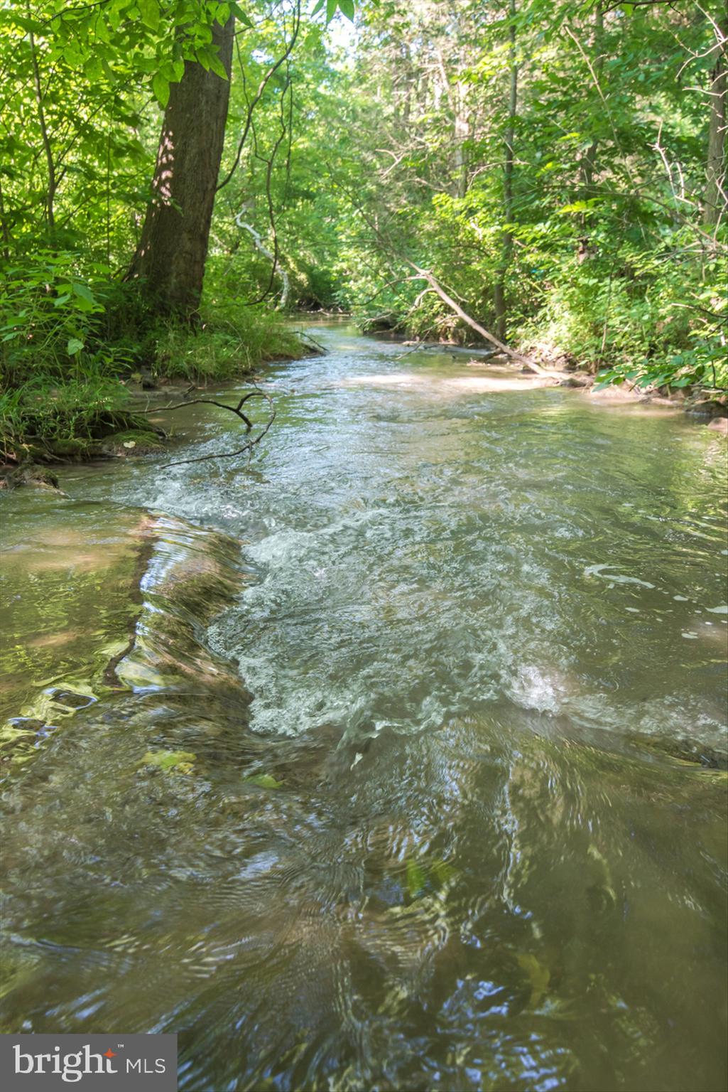977 Turner Road Shepherdstown, WV 25443 - Photo 41 of 106