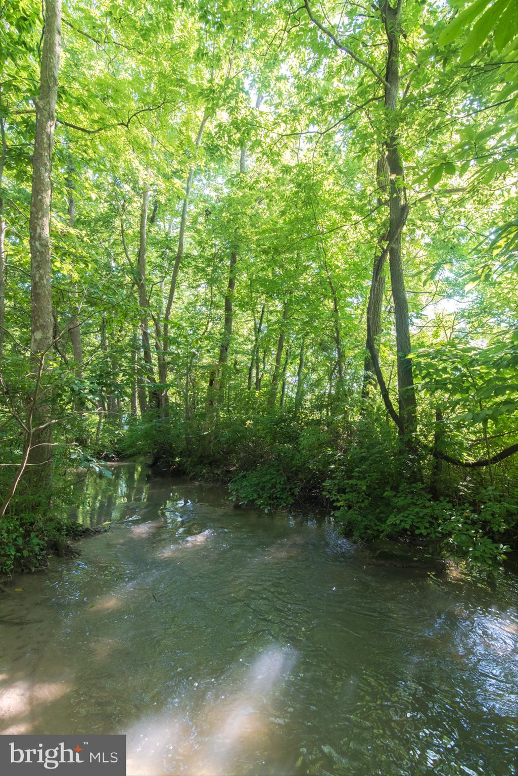 977 Turner Road Shepherdstown, WV 25443 - Photo 42 of 106