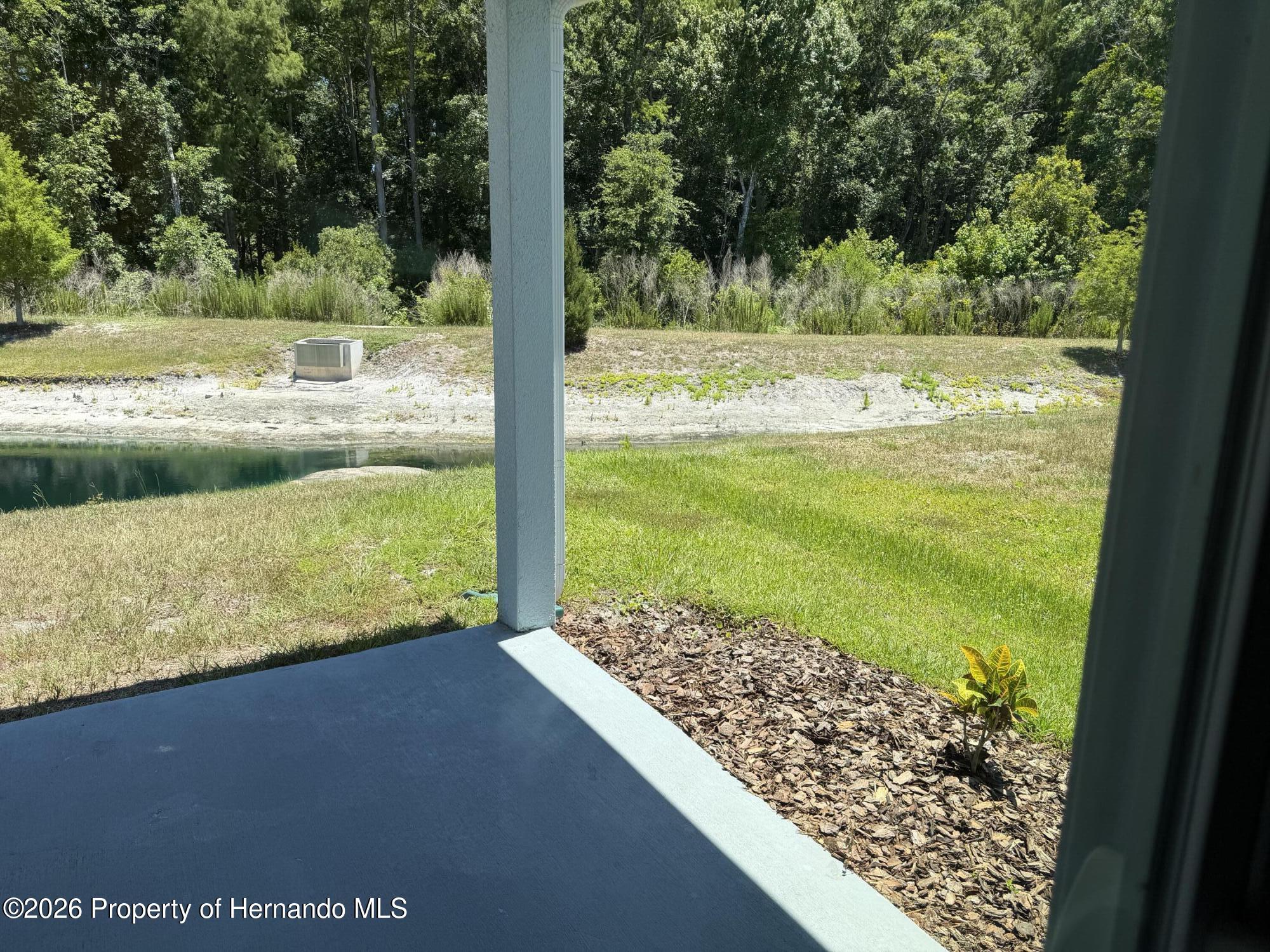 12316 Grizzly Lane New Port Richey, FL 34654 - Photo 16 of 16