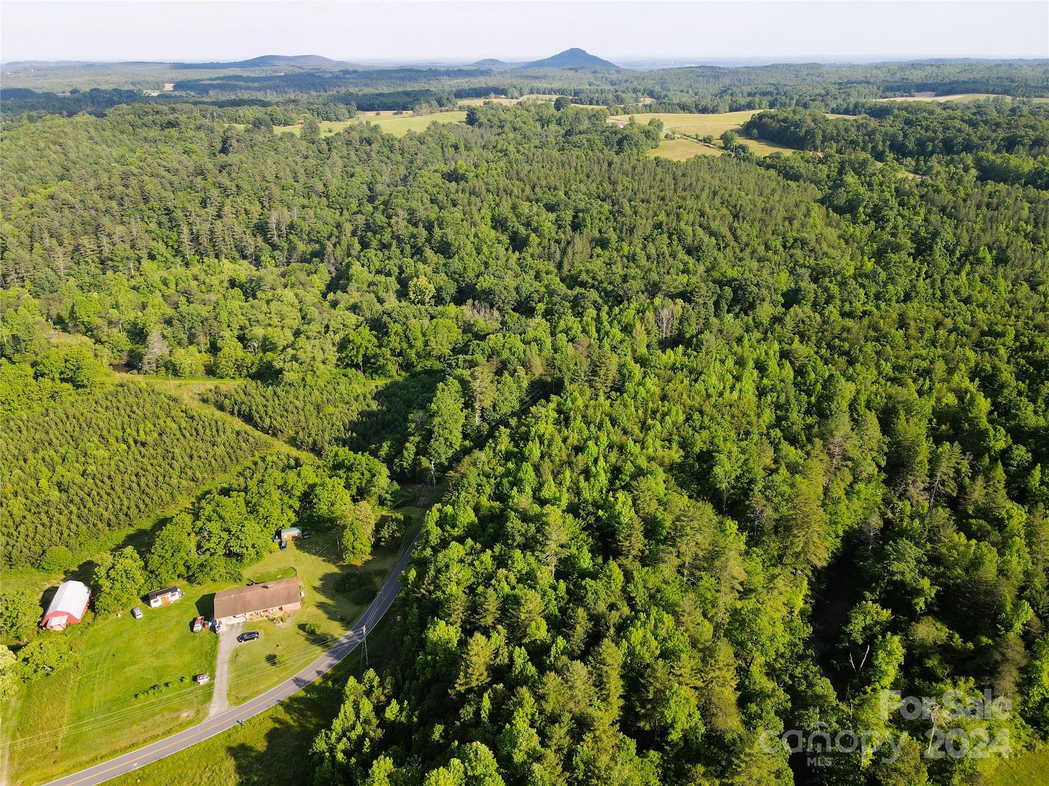 2 Rhoney Road Connelly Springs, NC 28612 - Photo 11 of 19 Gallery Image 11