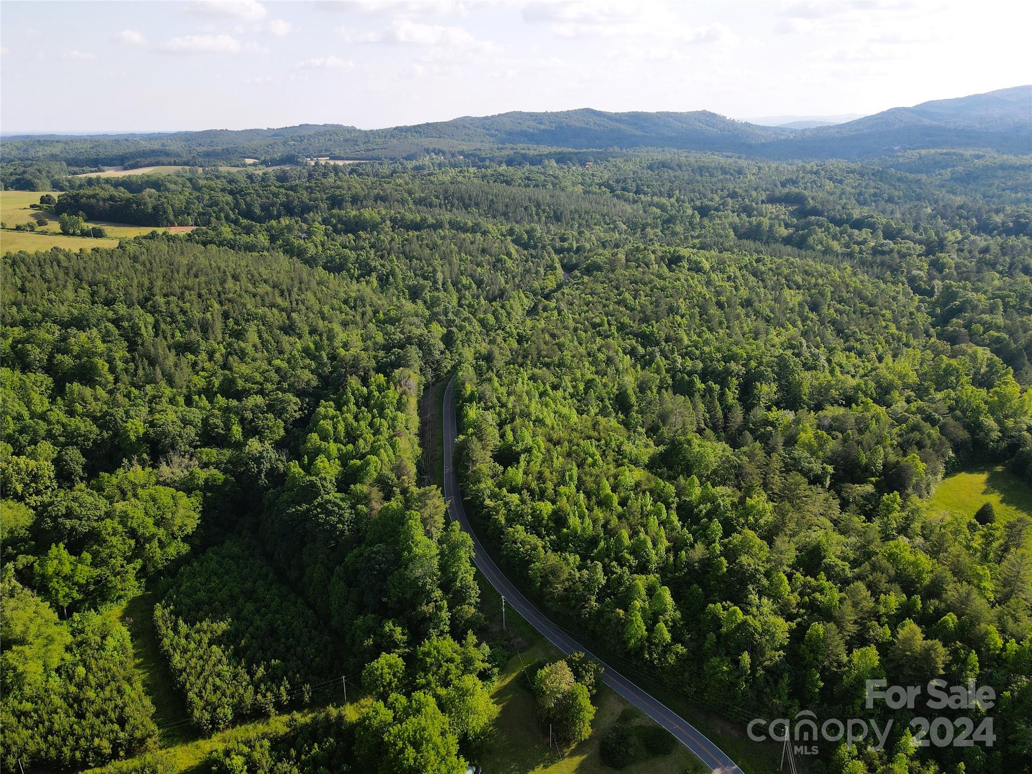 2 Rhoney Road Connelly Springs, NC 28612 - Photo 10 of 19 Gallery Image 10