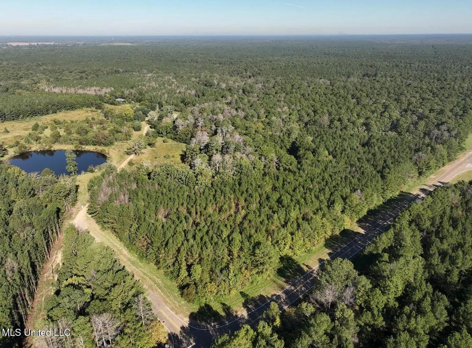 279 Bar C Ranch Road Morton, MS 39117 - Photo 1 of 19 Sky View