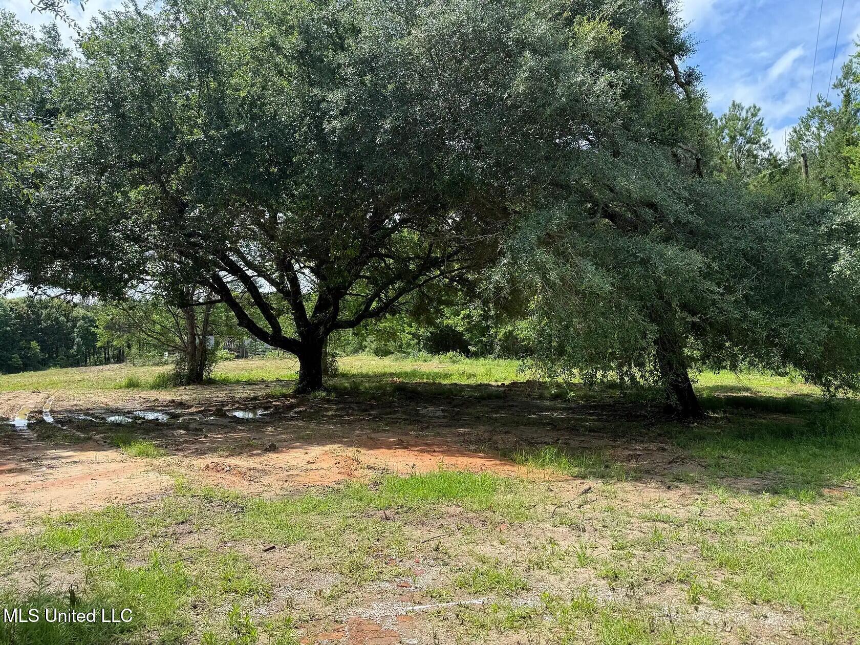 279 Bar C Ranch Road Morton, MS 39117 - Photo 11 of 19 morton-ms-141337445