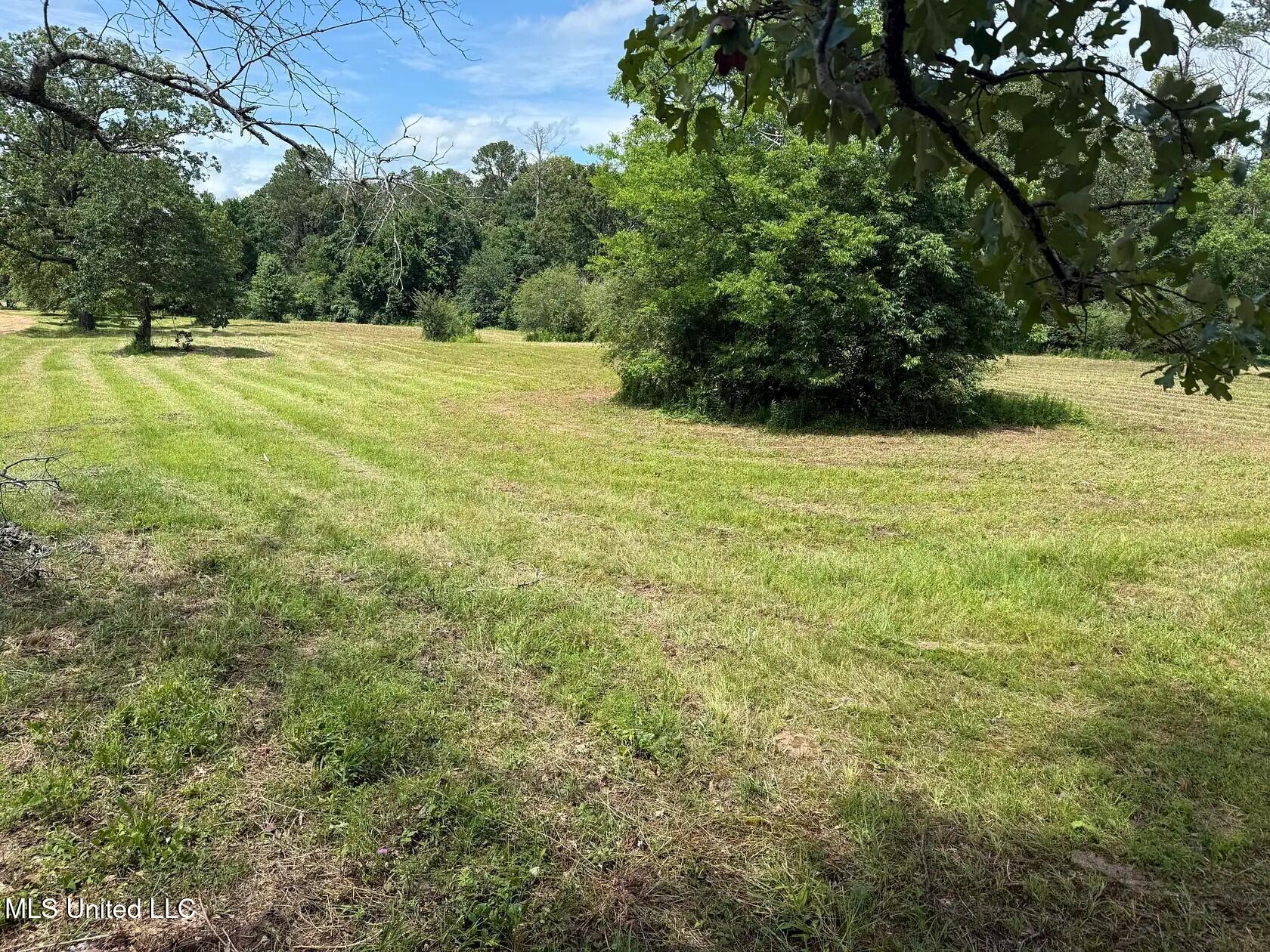 279 Bar C Ranch Road Morton, MS 39117 - Photo 13 of 19 morton-ms-141337447