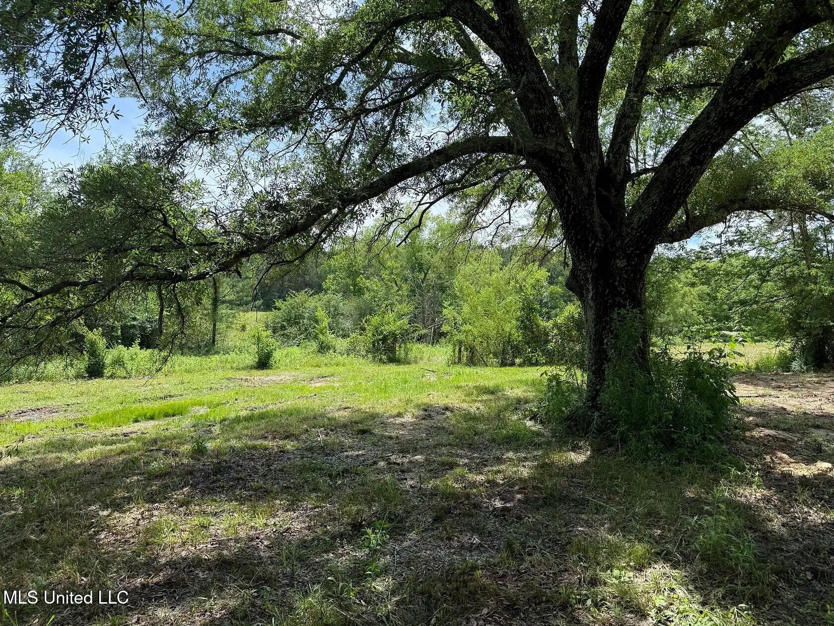 279 Bar C Ranch Road Morton, MS 39117 - Photo 14 of 19 morton-ms-141337448