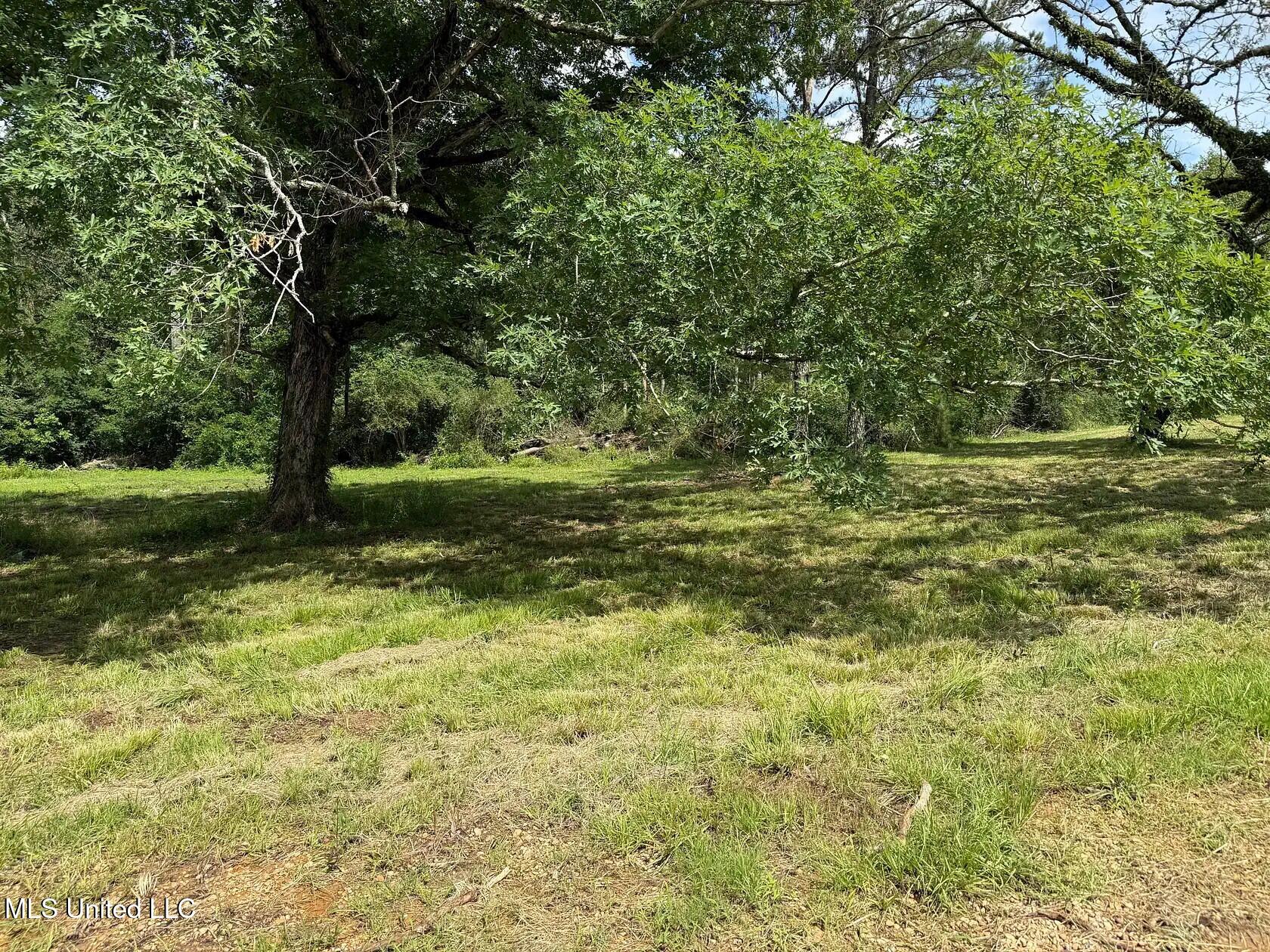 279 Bar C Ranch Road Morton, MS 39117 - Photo 15 of 19 morton-ms-141337449