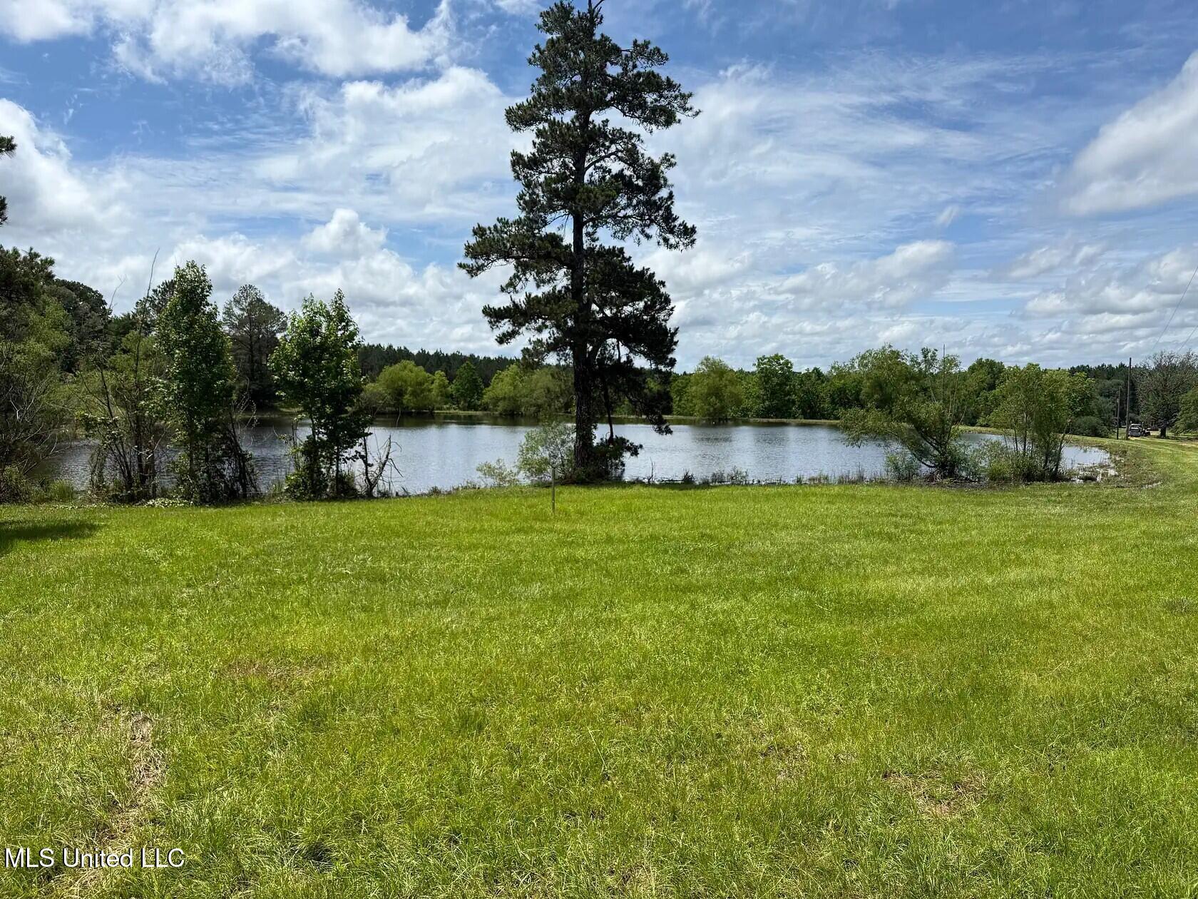 279 Bar C Ranch Road Morton, MS 39117 - Photo 16 of 19 morton-ms-141413115