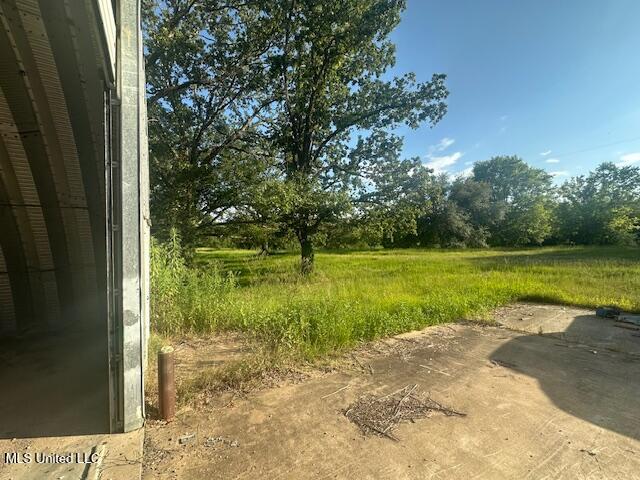 279 Bar C Ranch Road Morton, MS 39117 - Photo 18 of 19 IMG_1690