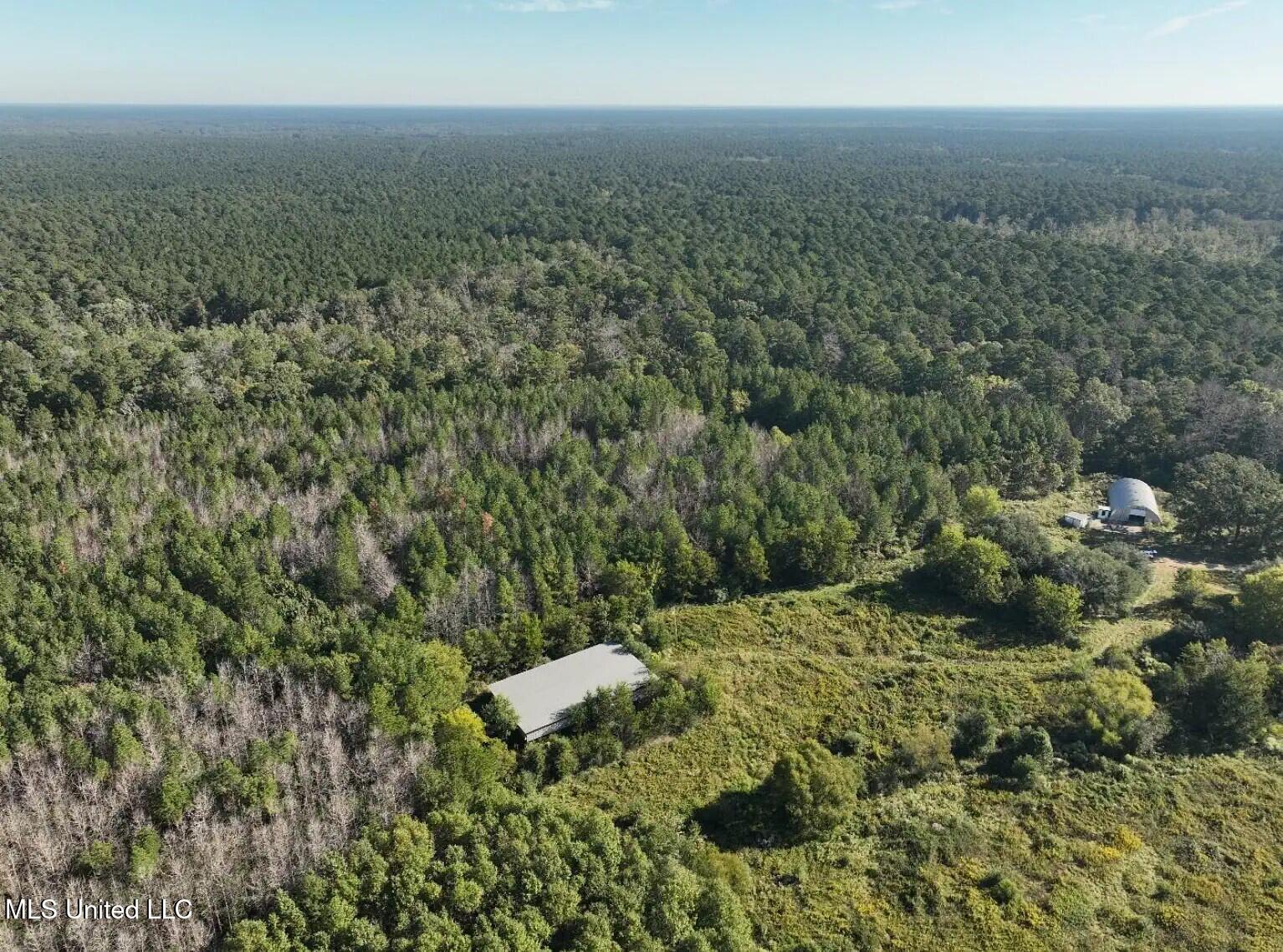 279 Bar C Ranch Road Morton, MS 39117 - Photo 5 of 19 morton-ms-141337439