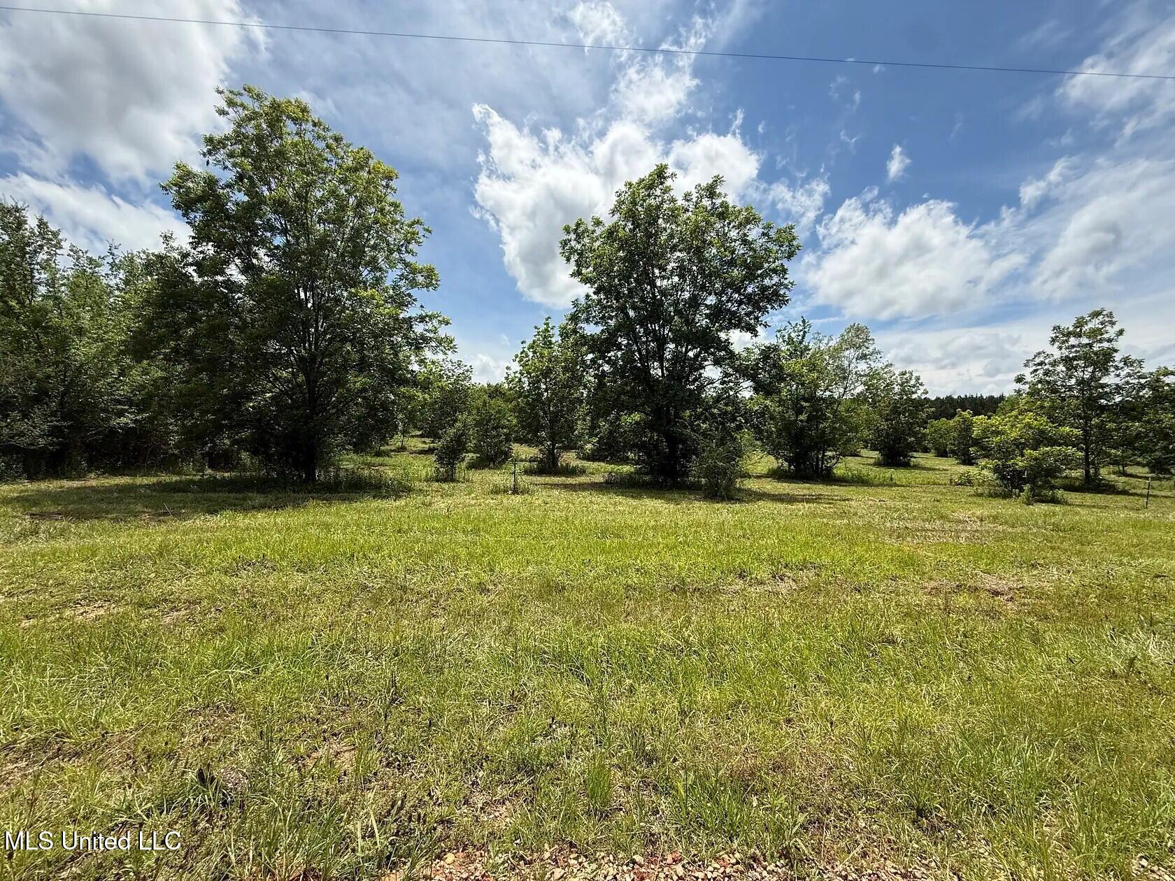 279 Bar C Ranch Road Morton, MS 39117 - Photo 6 of 19 morton-ms-141337440