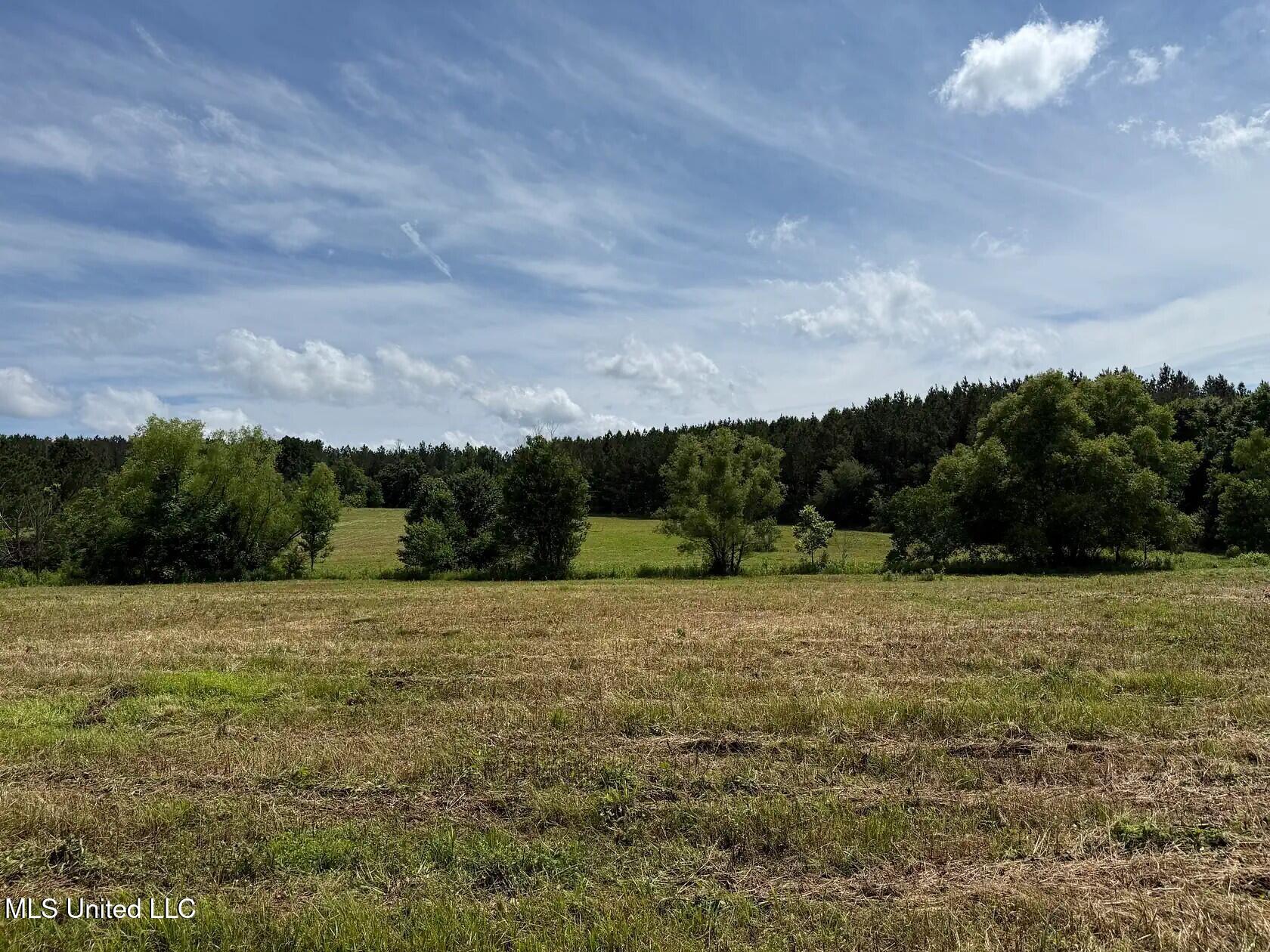 279 Bar C Ranch Road Morton, MS 39117 - Photo 7 of 19 morton-ms-141337441