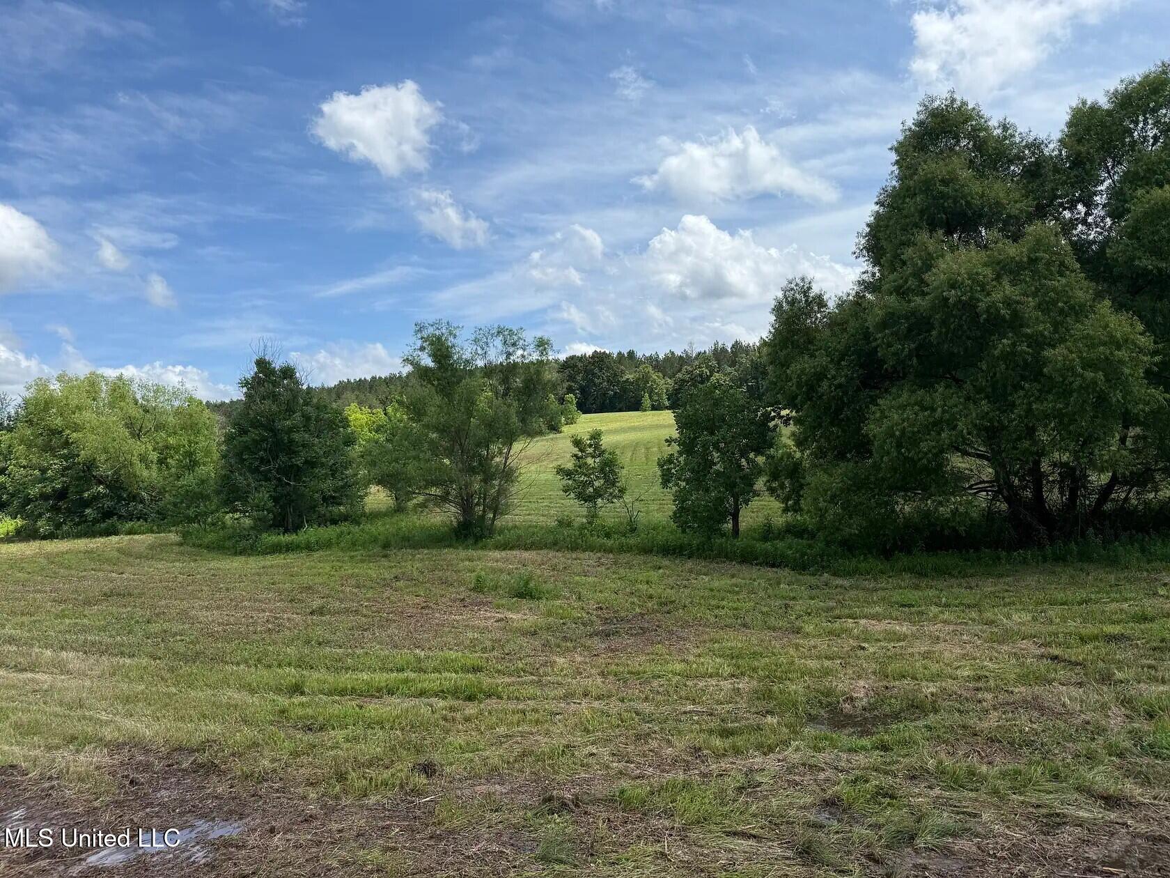 279 Bar C Ranch Road Morton, MS 39117 - Photo 8 of 19 morton-ms-141337442