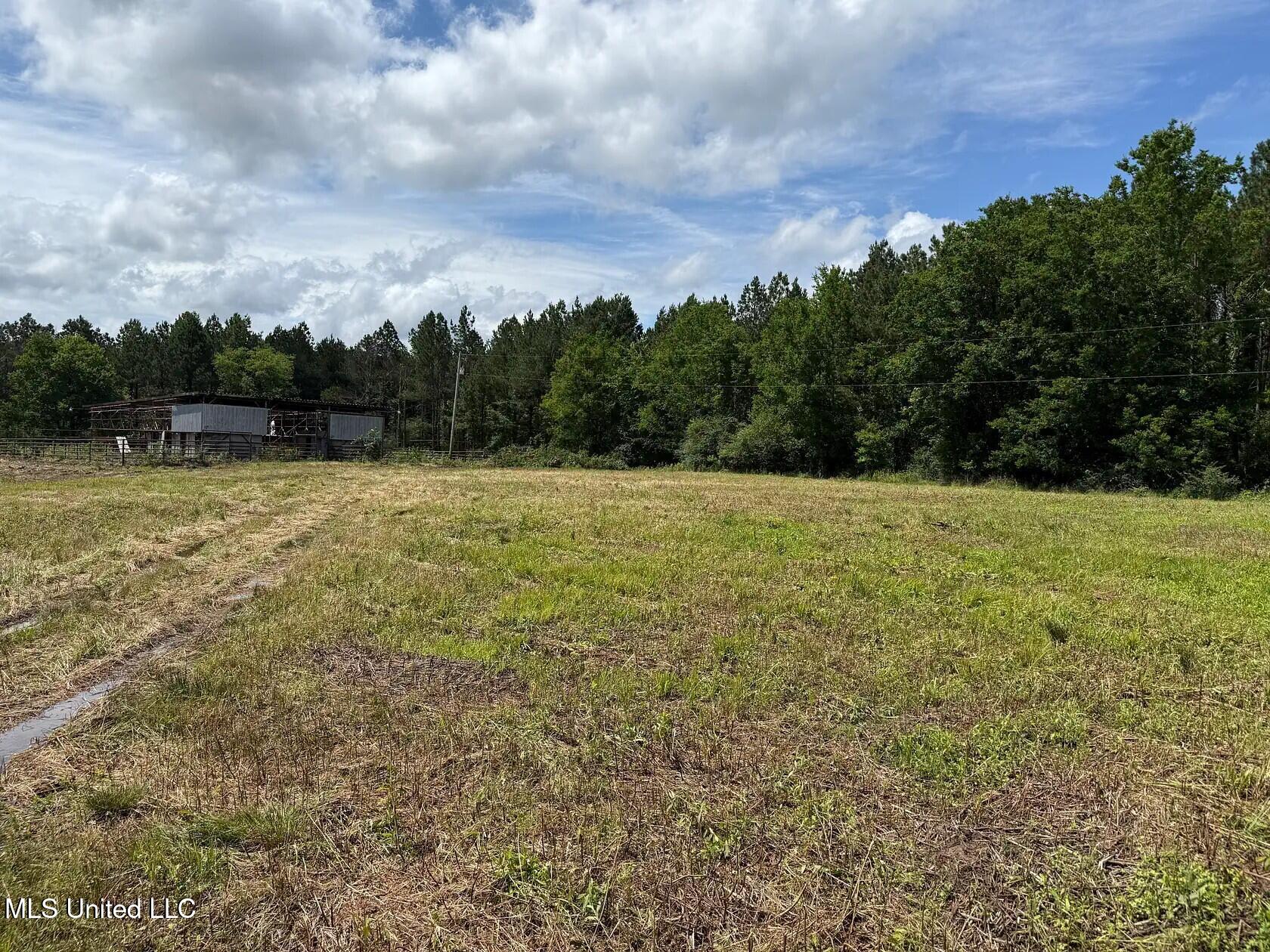 279 Bar C Ranch Road Morton, MS 39117 - Photo 9 of 19 morton-ms-141337443