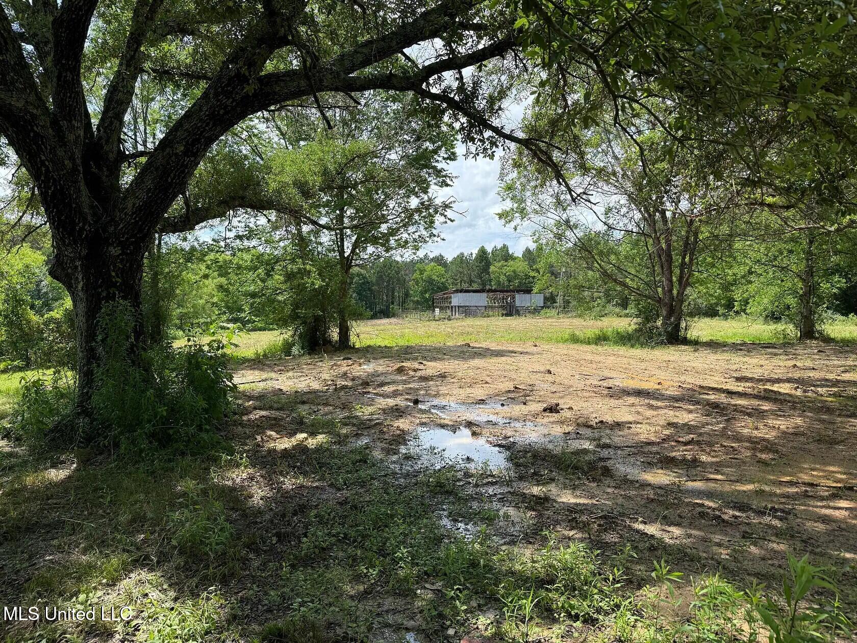 279 Bar C Ranch Road Morton, MS 39117 - Photo 10 of 19 morton-ms-141337444