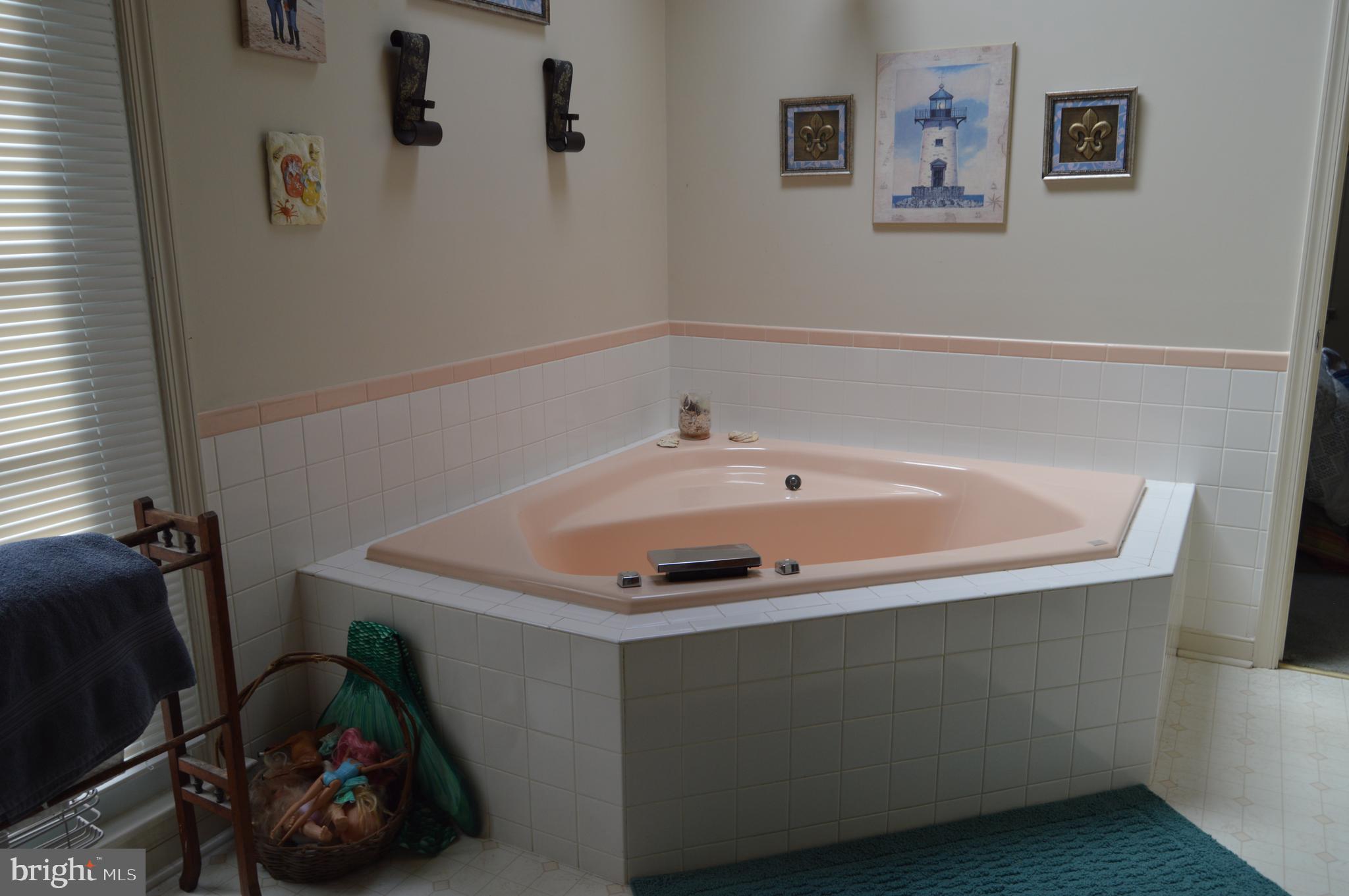 26316 Old Pitts Road Ruther Glen, VA 22546 - Photo 25 of 30 Master Bath with garden tub