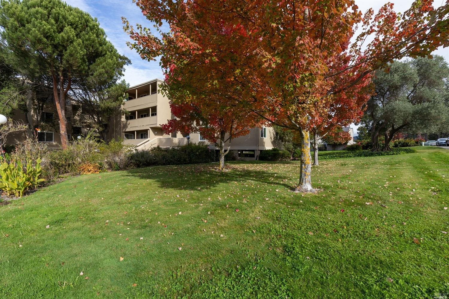 1453 Neotomas Avenue, Unit 205 Santa Rosa, CA 95405 - Photo 1 of 1 Gallery Image 1