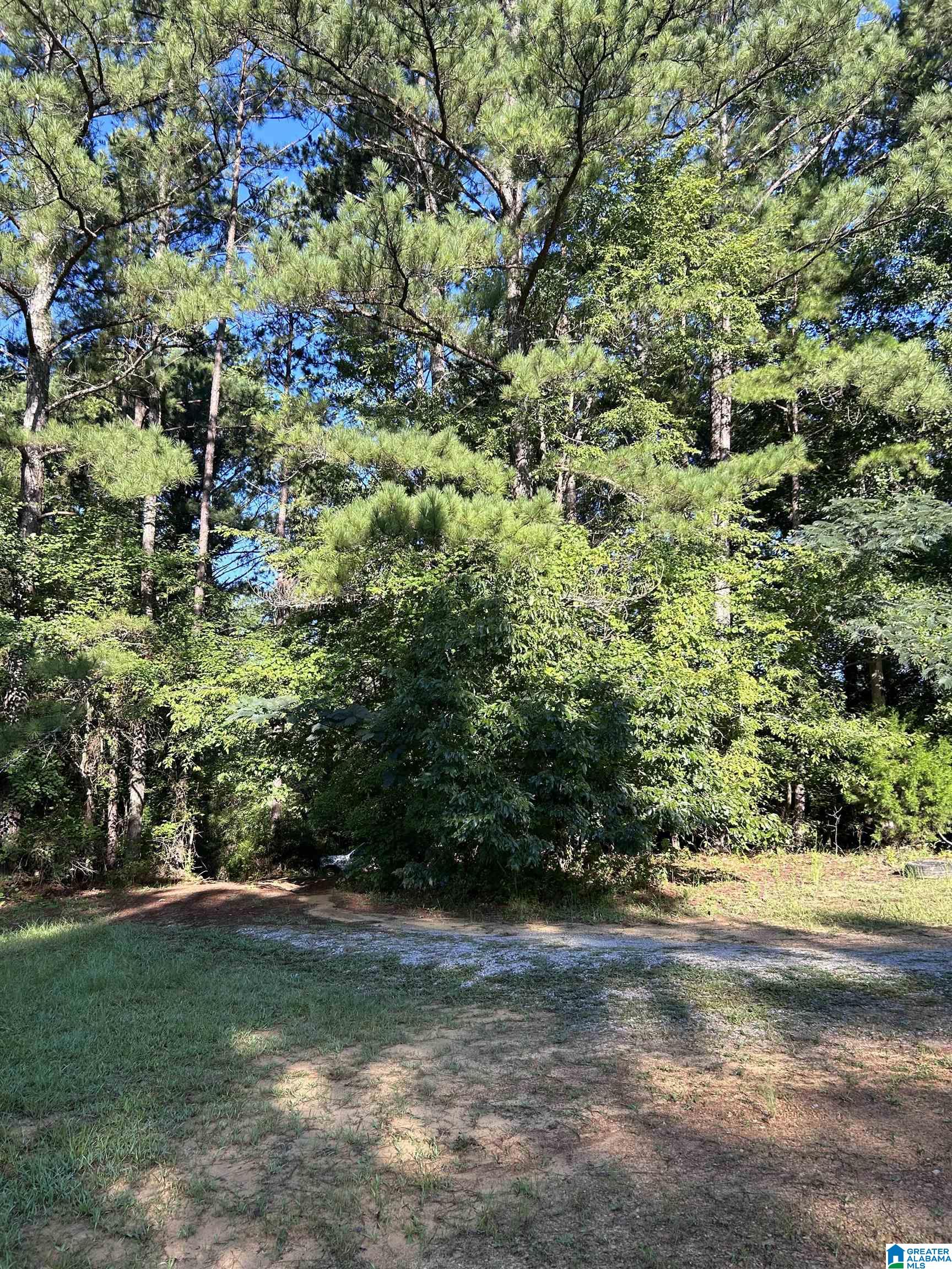9672 Silley Dean Road, Unit MOORES SUBDIVISION Pinson, AL 35126 - Photo 8 of 8