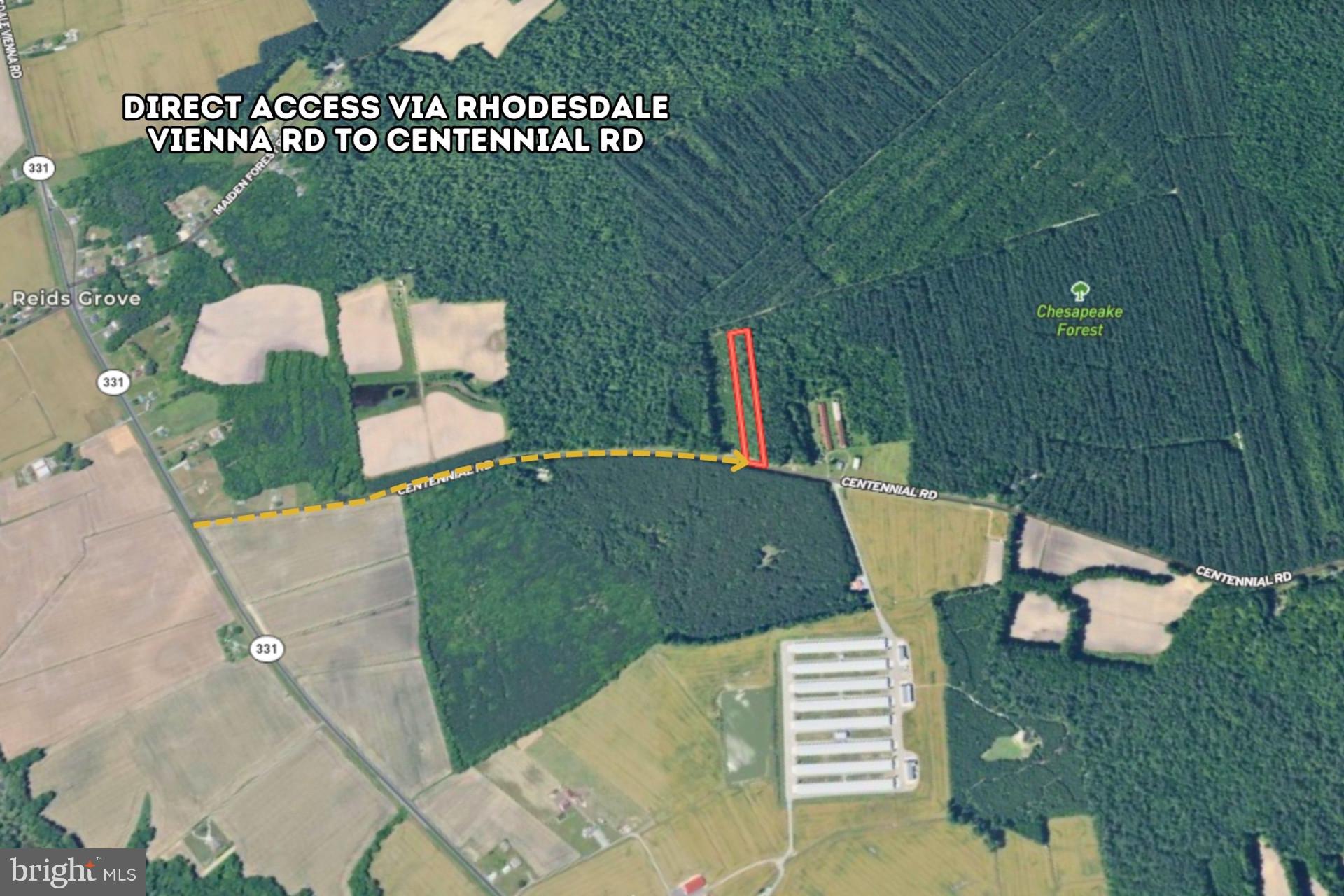 Lot 1 Centennial Road Rhodesdale, MD 21659 - Photo 2 of 6