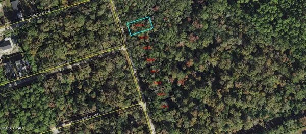 $12,000 | Lot 11 Fig Tree Lane, Crawfordville, FL 32327