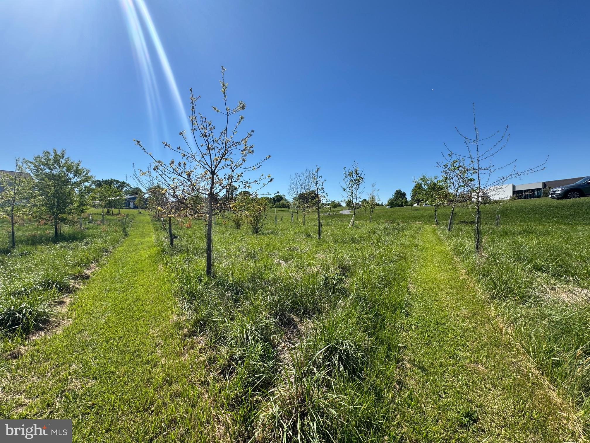 15491 Barnesville Road Boyds, MD 20841 - Photo 10 of 18 a view of a garden