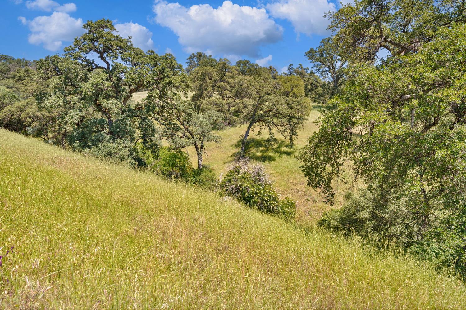 0 Bayne Road Garden Valley, CA 95633 - Photo 16 of 67 Gallery Image 16