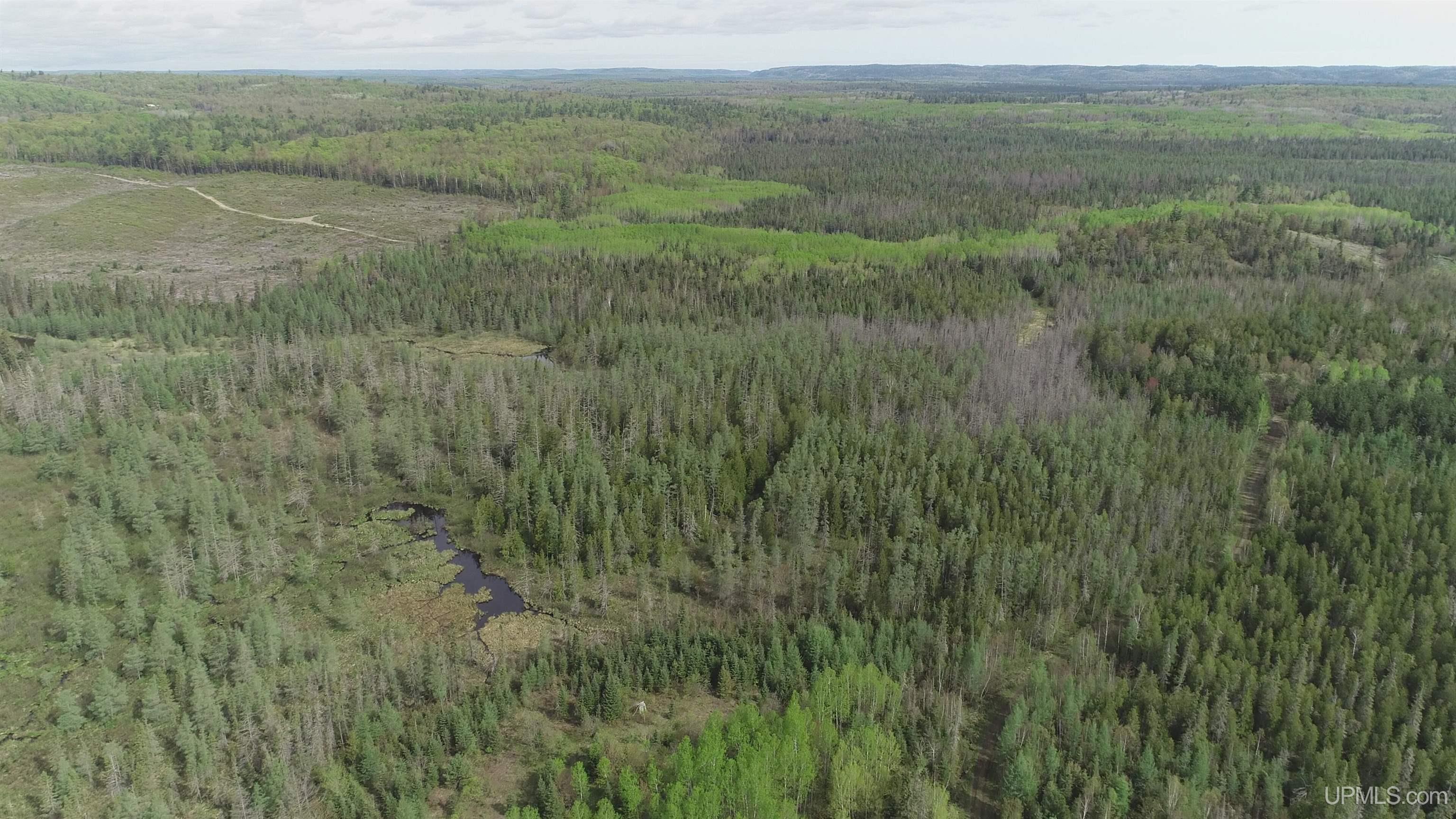 280-acres County Road CCN Road Negaunee, MI 49866 - Photo 22 of 48
