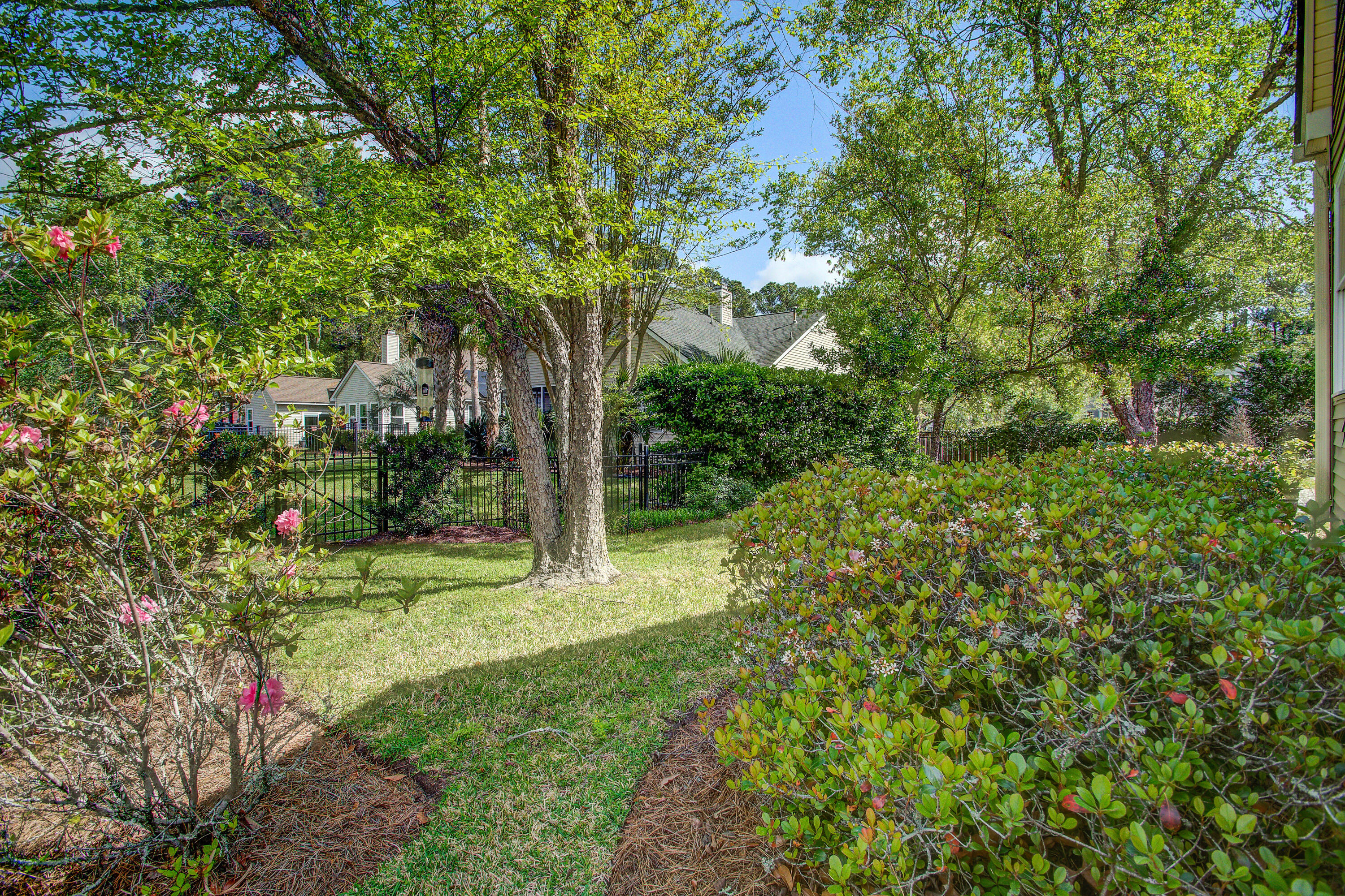 1462 Clarendon Way Mount Pleasant, SC 29466 - Photo 26 of 39 Backyard