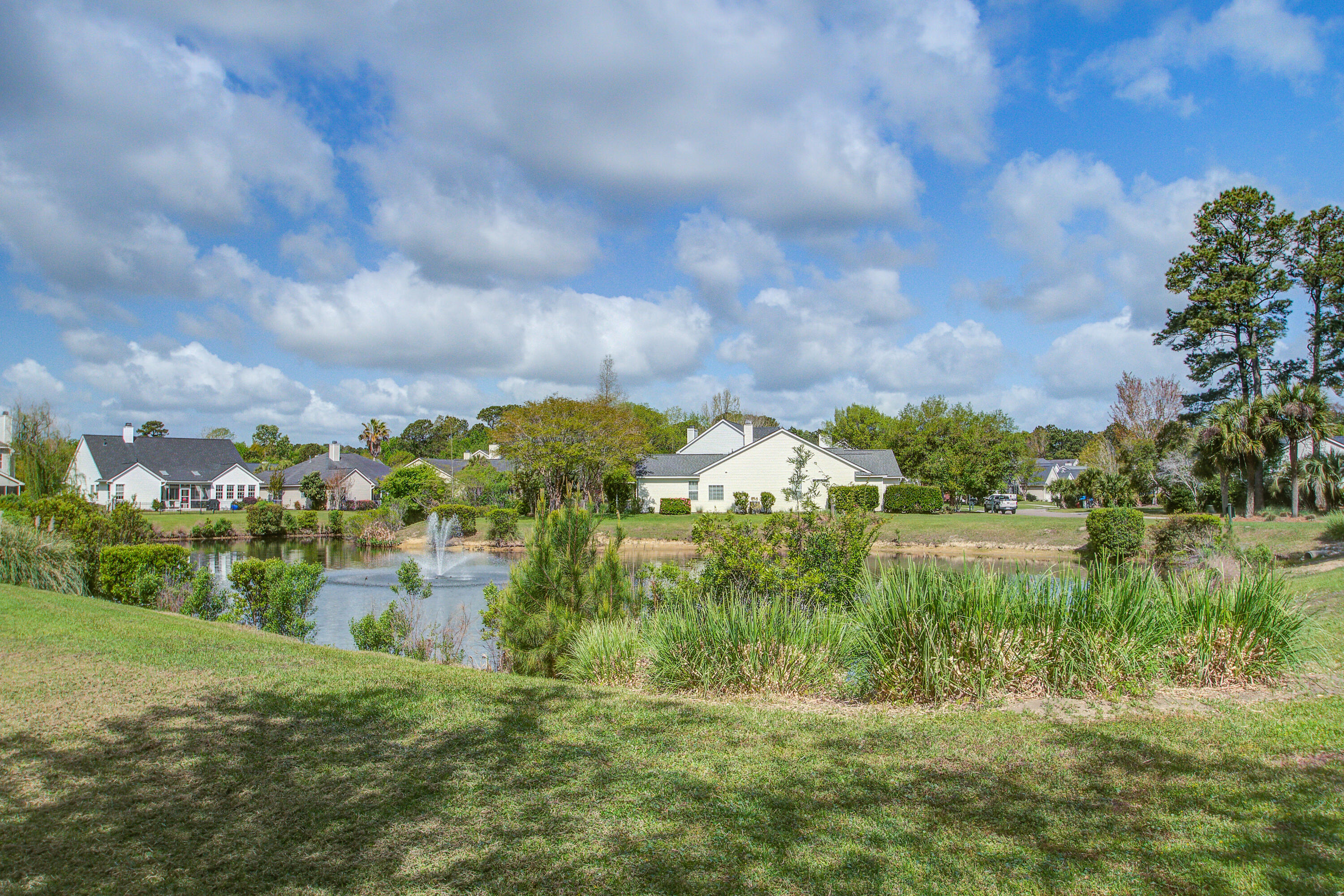 1462 Clarendon Way Mount Pleasant, SC 29466 - Photo 27 of 39 Neighborhood Pond