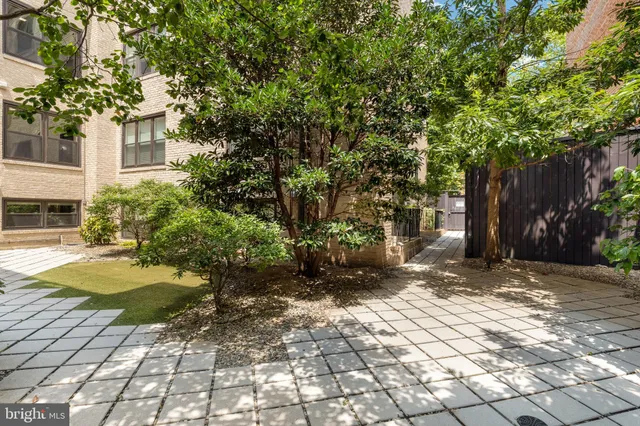 a view of a yard with plants and trees