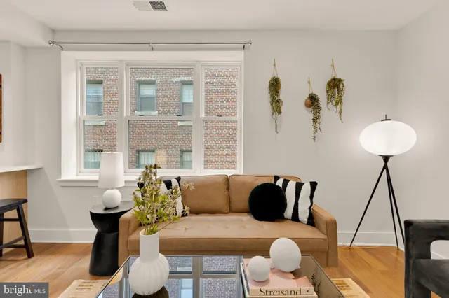 a living room with furniture and a potted plant