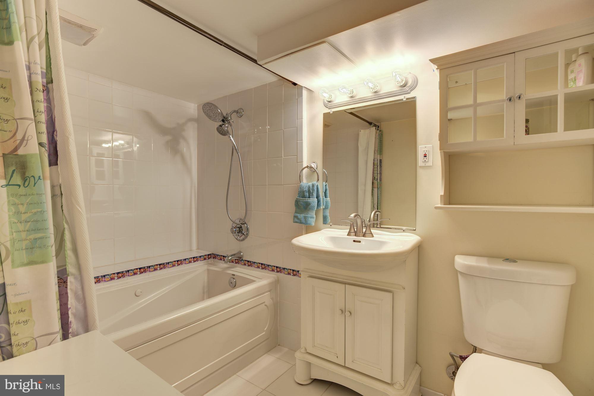 10030 Reed Lane Ellicott City, MD 21042 - Photo 28 of 39 Lower Level Full Bath