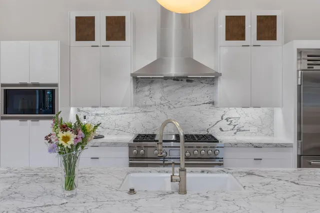 a close view of a sink a faucet a potted plant and a stove