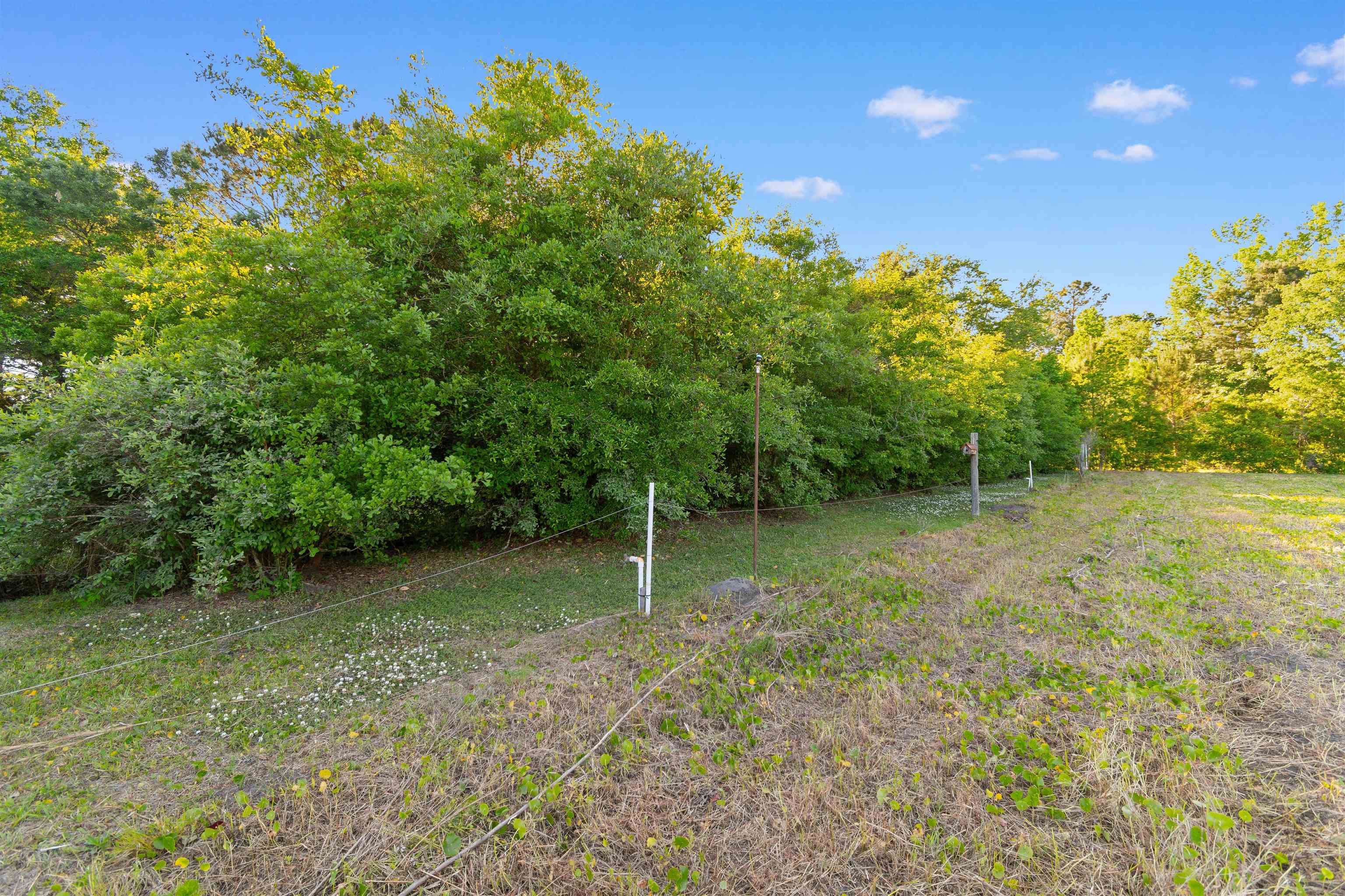 1594 Montford Road Georgetown, SC 29440 - Photo 44 of 77